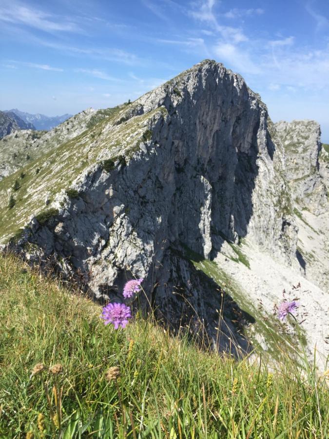 Апартаменты Bergnest Bad Bayersoien Экстерьер фото