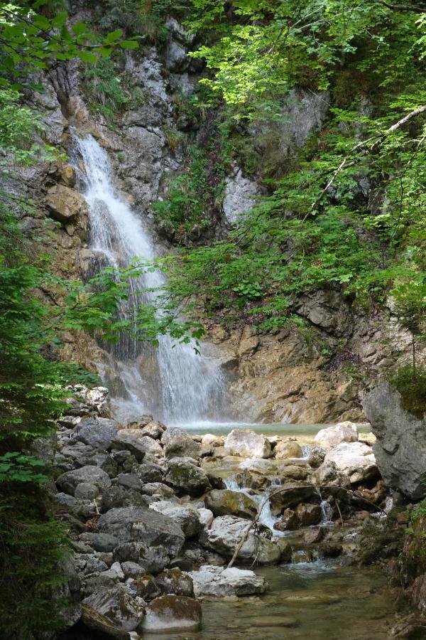 Апартаменты Bergnest Bad Bayersoien Экстерьер фото